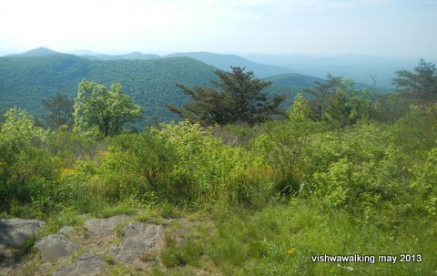 Appalachian. Cowrock Mountain