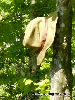 Appalachian - Cowrock Mountain - hat left behind