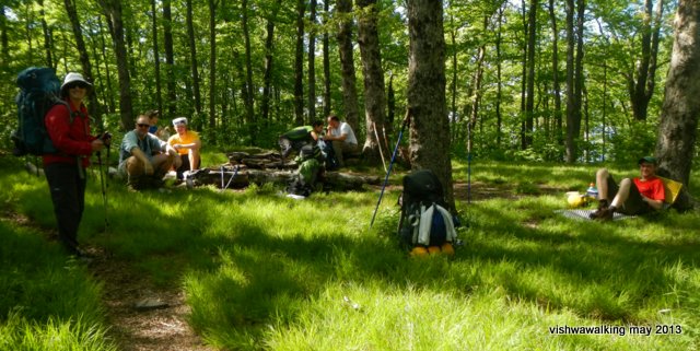 Appalachian - resting near Rocky Mountain, Georgia