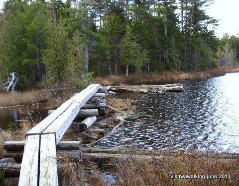 logs over the east side of tracy or elbow pond