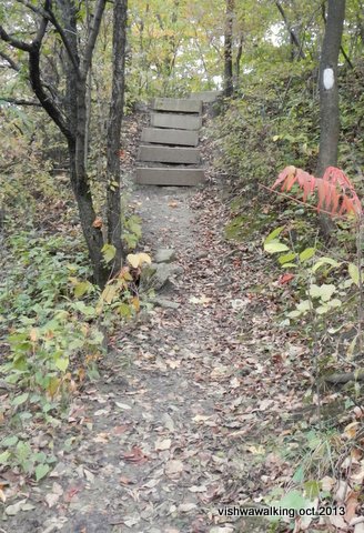 Bruce Trail, after quarry, steps down