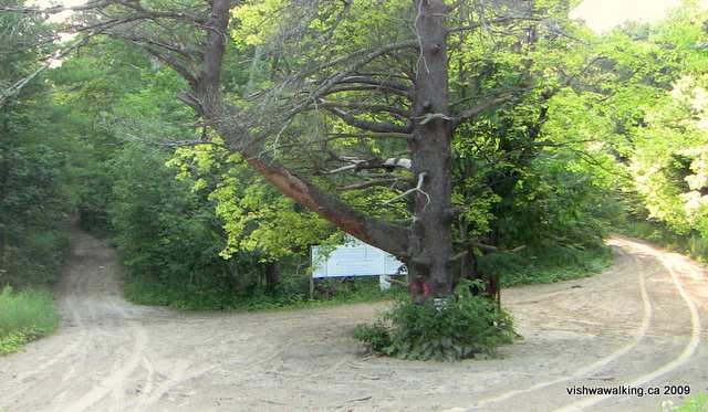 Ganaraska Trail, 10th line, Dead Pine intersection of roads