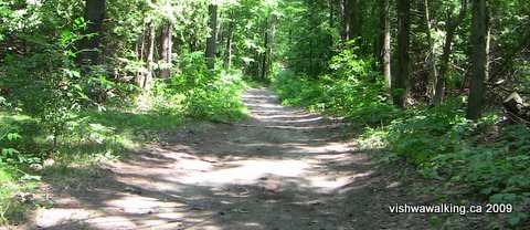 Ganaraska Trail, east of pine grove lane
