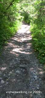 Ganaraska Trail, the unopened road allowance running north from Tinkerville road near Garden Hill