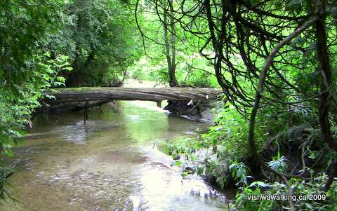 Ganaraska Trail, little creek near Sylvan Glen