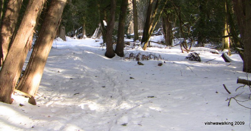 Butler Creek Trail