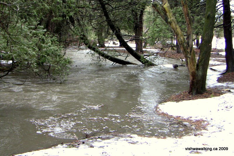 butler creek, overflowing after rains