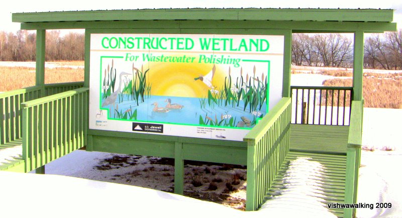 observation platform, constructed wetland