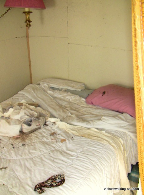 Tyendinaga, inside wrecked cottage (bed), between Great Oak Lodge Road and Norway's Road