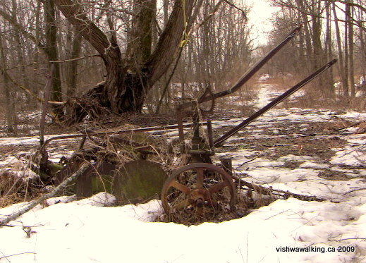 Tyendinaga, east of Great Oak Lodge lane, old plow