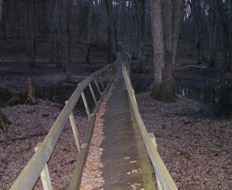 Frink bridge - Dark Times.