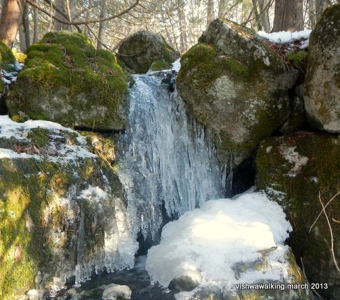 Vanderwater little falls