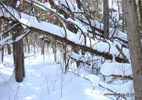 Vabnderwater Park, nature trail, natural archway