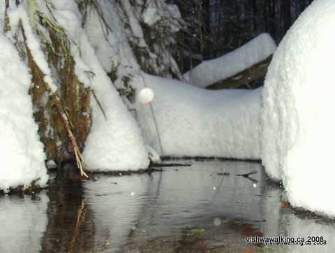 vanderwater stream nature trail