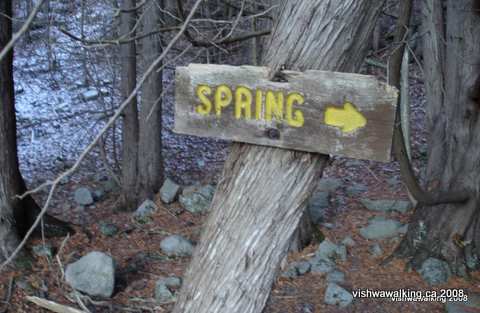 vanderwater-sign- "spring"
