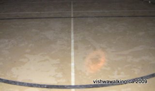 Prince Edward Heights, basketabll floor markings, gym