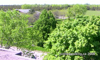 Prince Edward Heights,view from the roof looking at the small building