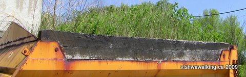 Prince Edward Heights,truck bed with grass