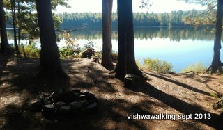 Algonquin - Johnston lake, north shore campsite