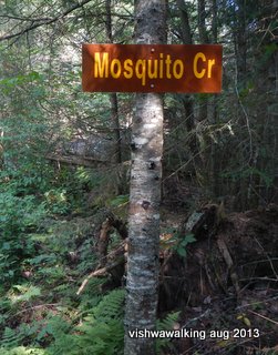 algonquin, highland backpacking trail, mosquitoe creek