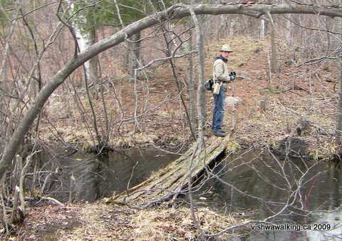 Gould lake Conservation Area, little log bridge over stream, 1st section, with Matt.