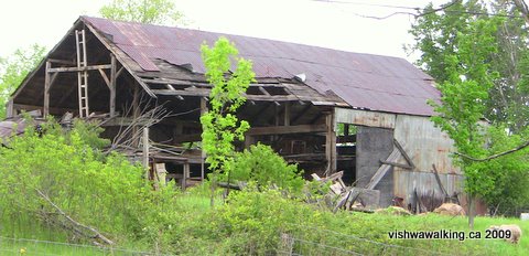 Rideau trail, barn east of Murbvale road between Forest and railton roads