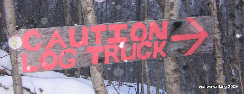 caution log truck