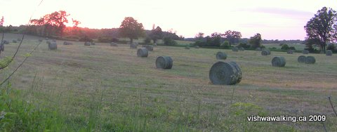 Tct, west of Spencer road, north side, round bales