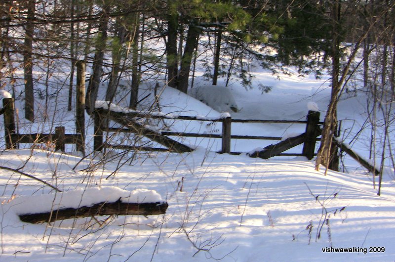 trans can, gate south of sulphide