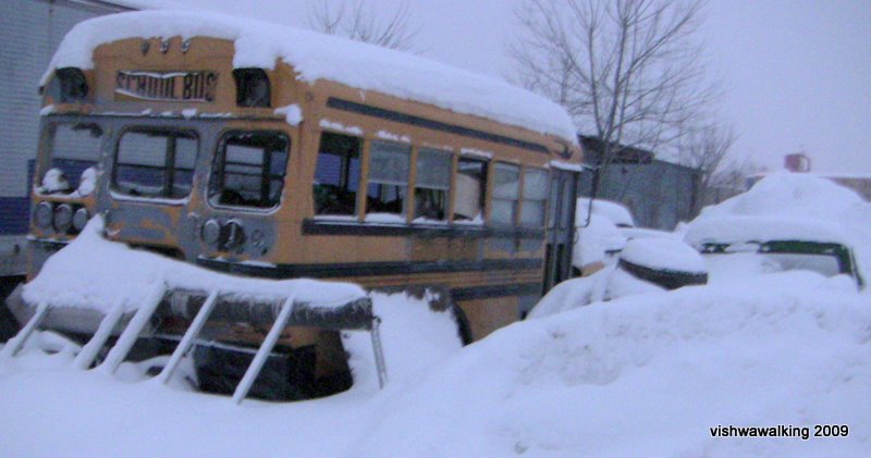 tweed bus wreck