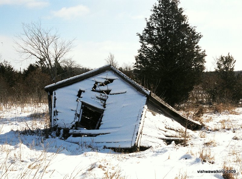 menzel park, old shack