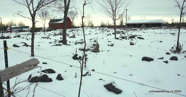 moneymore road, rocky field