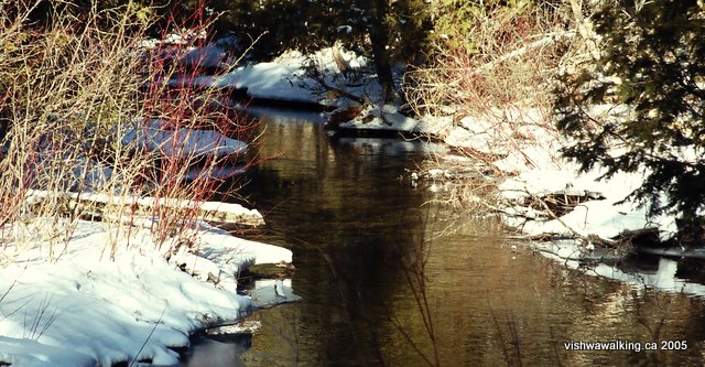 parks creek, phillips road (2)